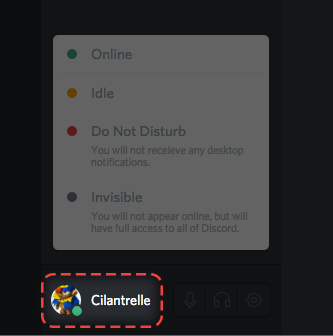 click on your avatar to change the online status on Discord